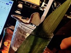 -Catail前苑(前门大街店)