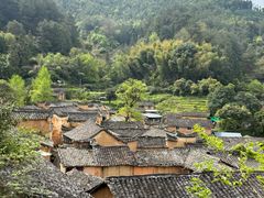 -杨家堂村