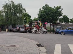 -茯茶镇