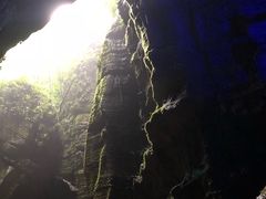 -梦幻奥陶纪景区