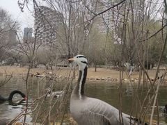 -长白岛森林公园