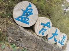 -十渡东湖港风景区