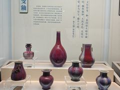 -广西壮族自治区博物馆