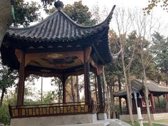 -梅园
