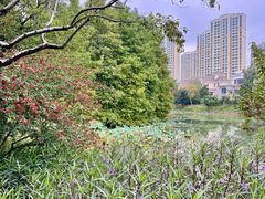 -白塘生态植物园