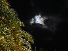 -日落吧·海景咖啡厅·餐酒吧·鸡尾酒·下午茶·乐队表演·浪漫夕阳·三亚文华东方酒店