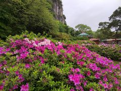 -柳州市动物园
