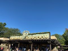 -奥兰多迪士尼动物王国乐园