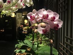 -余欢领鲜火锅(新街口店)
