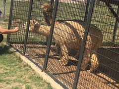 -山西乌金山旅游区