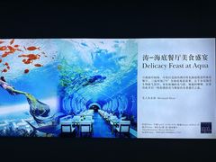 -涛·海底餐厅·美人鱼·自助餐·海底隧道(三亚海棠湾洲际度假酒店)