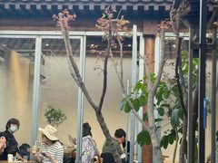 -VOYAGE COFFEE(杨梅竹店)