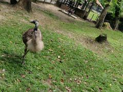 -吉隆坡雀鸟公园