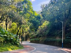 -火炉山森林公园