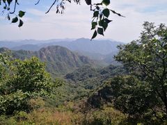 -大岭沟猕猴桃谷风景区