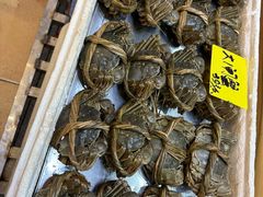 -有腥气私房菜·寻味顺德