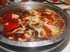 -蜀滋香鲜鱼美蛙火锅(339店)