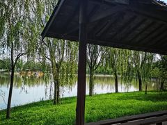-杨柳青庄园