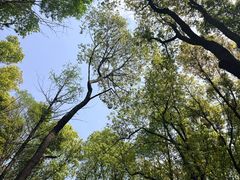-同里国家湿地公园