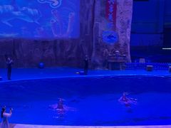 -华夏文旅海洋公园