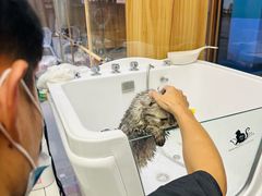 -FAELING PETS美天灵宠物(富力广场店)
