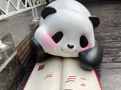 -轩客会(熊猫书店)