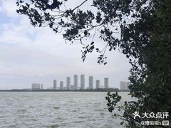 -燕鸣岛