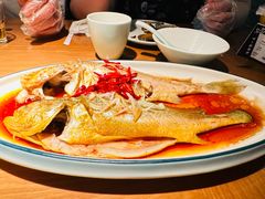 -波螺油子青岛本帮菜(银座店)