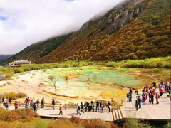 -黄龙山原始森林景区