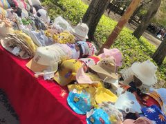 -长春公园(普阳街道)