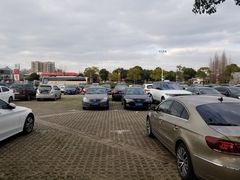 -野生动物园-停车场