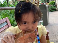 -迪士尼火鸡腿