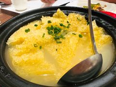 砂锅三林肉皮-红城阁·上海味道(四平路店)