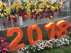 -上海鲜花港