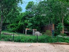 -清迈夜间动物园