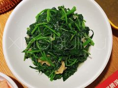 -十二点·辣椒炒肉(南山店)