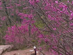-天台山赤城山景区