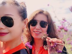 -北京东方普罗旺斯薰衣草庄园
