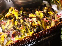 -吉布鲁牛排海鲜自助(温江合生汇店)