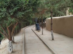 -延安杨家岭革命旧址