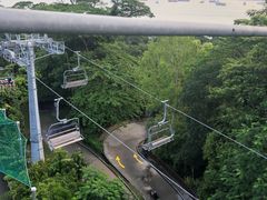 -圣淘沙天际线斜坡滑车