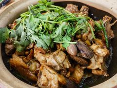 -华仔土鸡店(南洲分店)