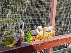 -天目湖御水温泉·度假酒店