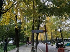 -四川大学(望江校区)