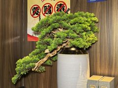 -江南足纪·影院足道·轻奢SPA(笋岗HALO广场店)