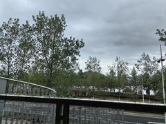 -宝荣鱼馆·临湖之宴(千岛湖店)