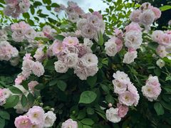 -迎晖路(地铁站)