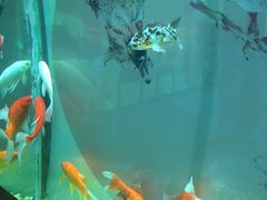 -北戴河圣蓝海洋公园