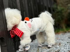 -J Create城市露营咖啡·简餐·宠物(上海动物园店)