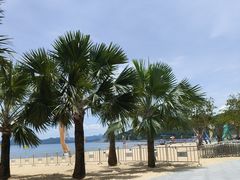 -大梅沙海滨公园